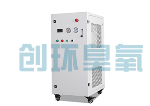 双鸭山石斑鱼养殖水质调控完整指南：臭氧发生器配置与操作步骤