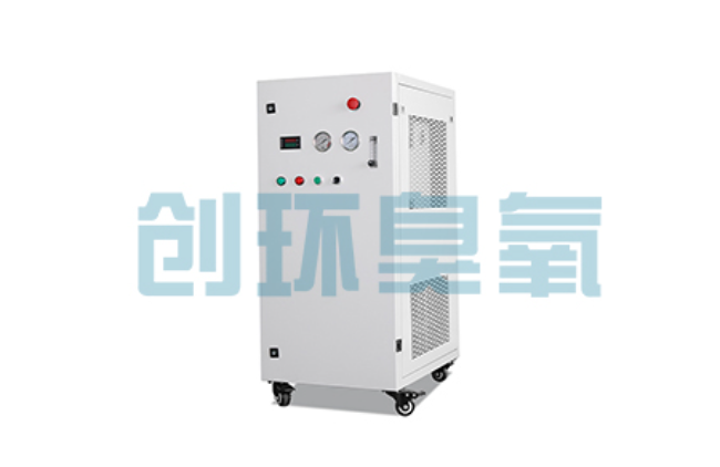双鸭山比传统换水更高效？臭氧发生器在石斑鱼养殖中的水质净化原理解析